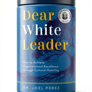 Sendero Press Business Diversity Inclusion eBook English-0