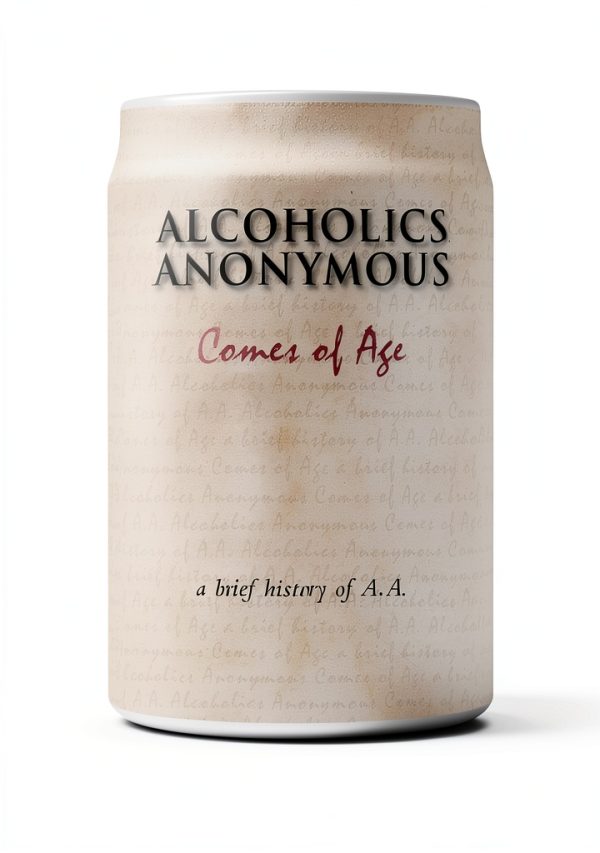 Alcoholics Anonymous Kindle Book Recovery Program Support-0