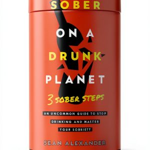 Quit Lit Sobriety Series Book 2 Kindle Edition Recovery-0