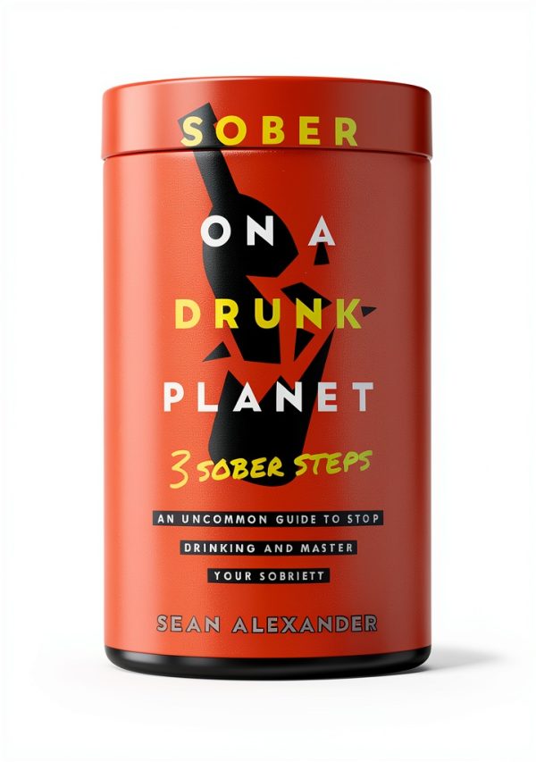 Quit Lit Sobriety Series Book 2 Kindle Edition Recovery-0