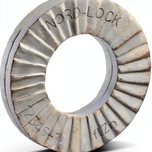 Lock Washer 7/8" M22 0.13Th - Nord-Lock Wedge Lock Washers, Pack of 2-0